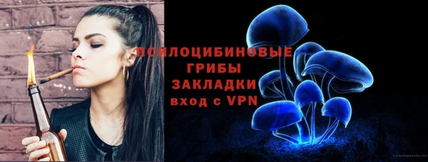 тгк Алексин