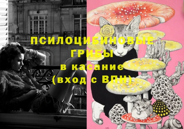 каннабис Алзамай