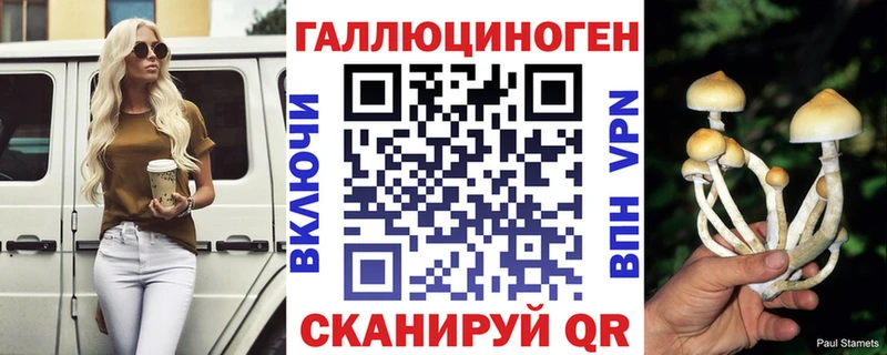 купить   Дыгулыбгей  blacksprut зеркало  Галлюциногенные грибы Psilocybe 